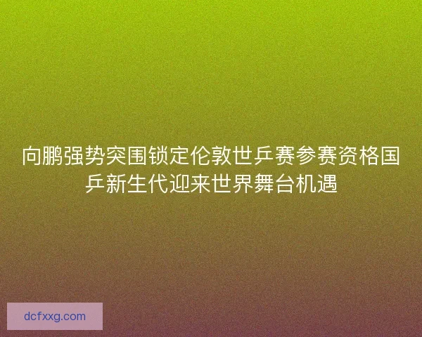 向鹏强势突围锁定伦敦世乒赛参赛资格国乒新生代迎来世界舞台机遇