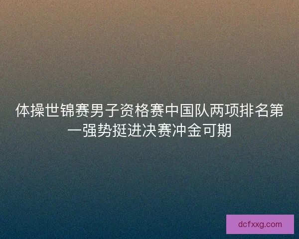 体操世锦赛男子资格赛中国队两项排名第一强势挺进决赛冲金可期