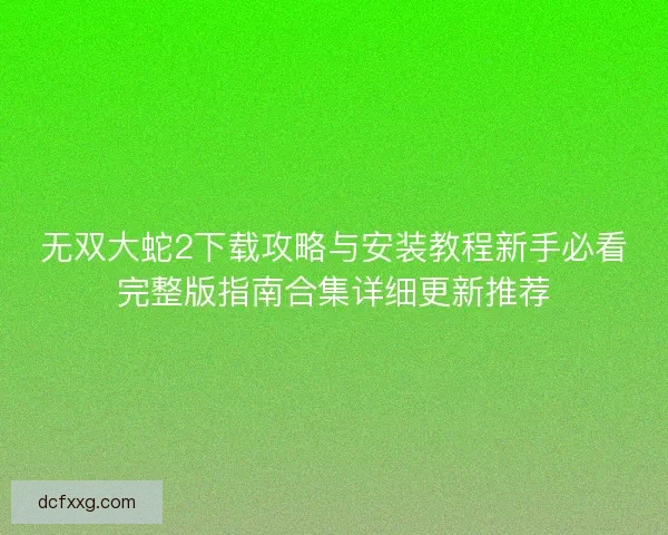 无双大蛇2下载攻略与安装教程新手必看完整版指南合集详细更新推荐